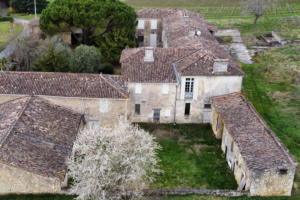 Château Cazalis