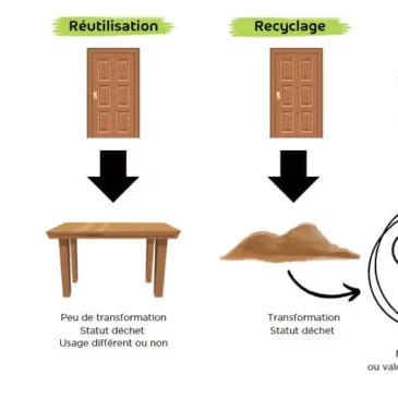L’économie circulaire : le réemploi, la réutilisation, le recyclage
