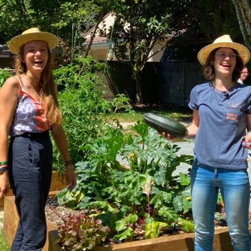 Un potager partagé au cœur de notre démarche RSE